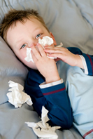 http://snhc.com/images/iStock_000005778834XSmall_000.jpg