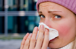 http://snhc.com/images/iStock_000009780161XSmall_000.jpg